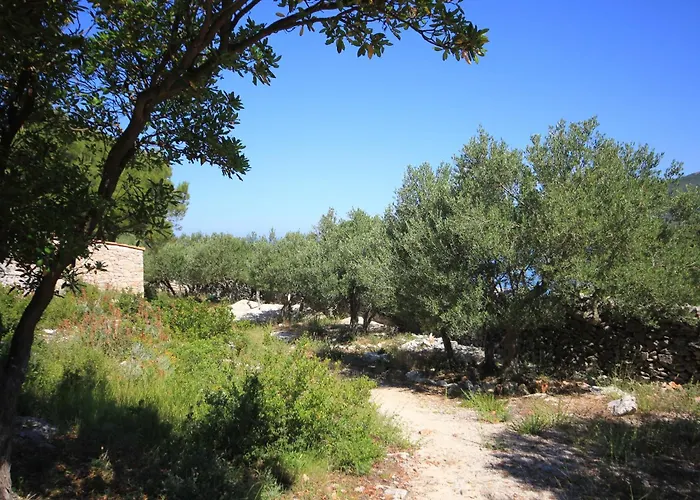 Secluded Fisherman's Cove Studencic, Losinj - 3263 Сasa de vacaciones Mali Lošinj