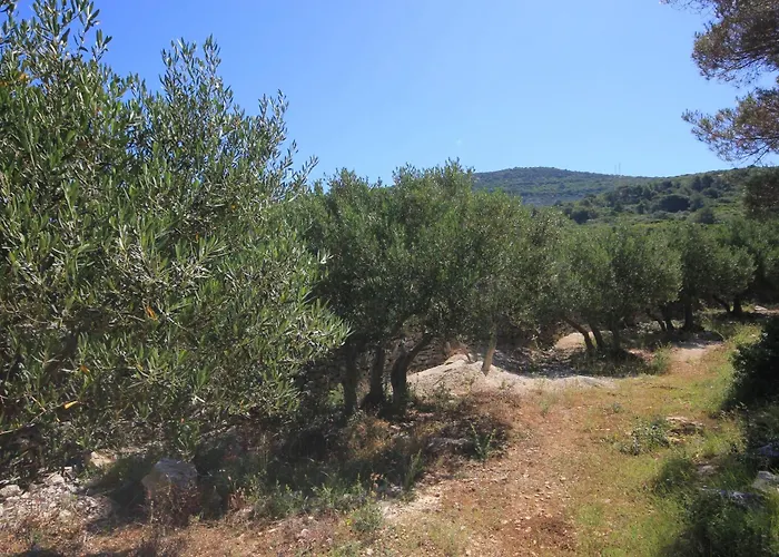 Сasa de vacaciones Secluded Fisherman's Cove Studencic, Losinj - 3263 *