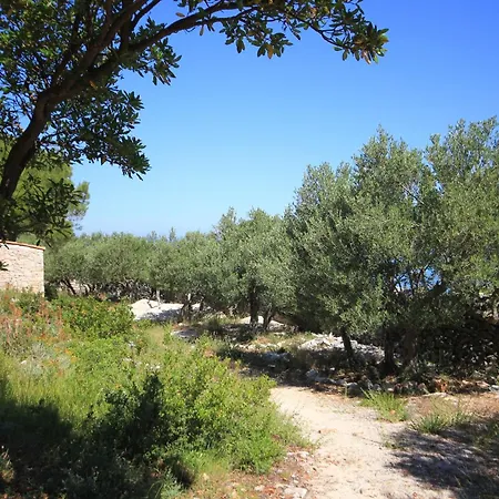 Secluded Fisherman's Cove Studencic, Losinj - 3263 Сasa de vacaciones Mali Lošinj