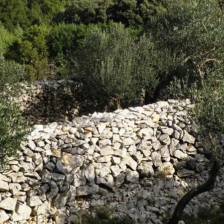 Secluded Fisherman's Cove Studencic, Losinj - 3263 Сasa de vacaciones Mali Lošinj